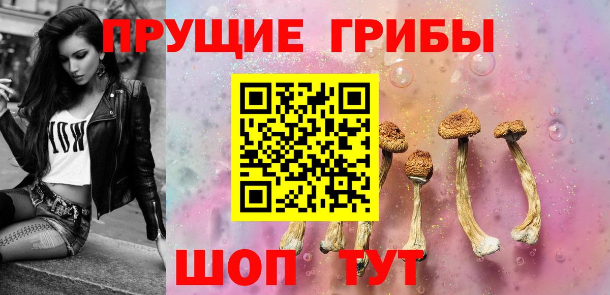 Галлюциногенные грибы MAGIC MUSHROOMS  Вход с VPN  Чайковский 